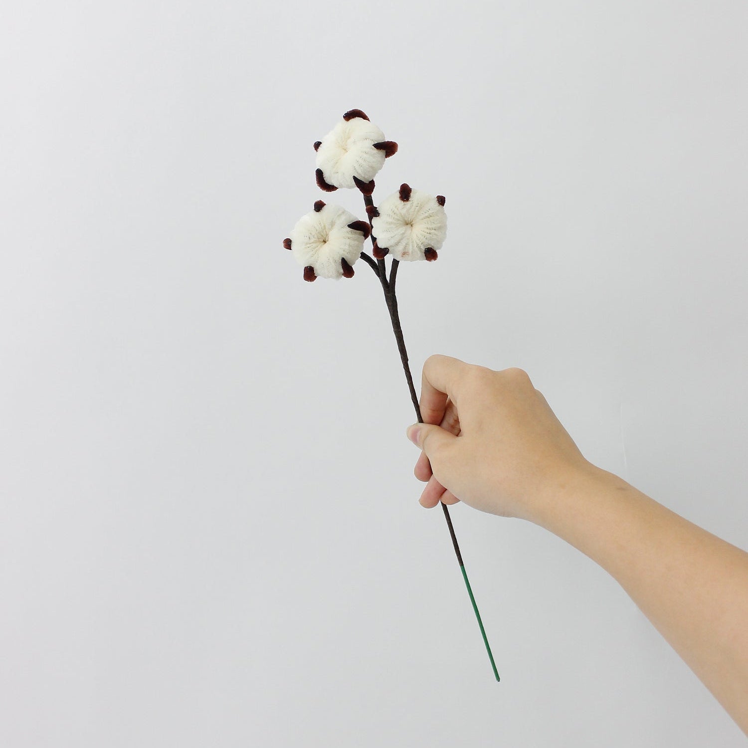 Cotton Tutorial