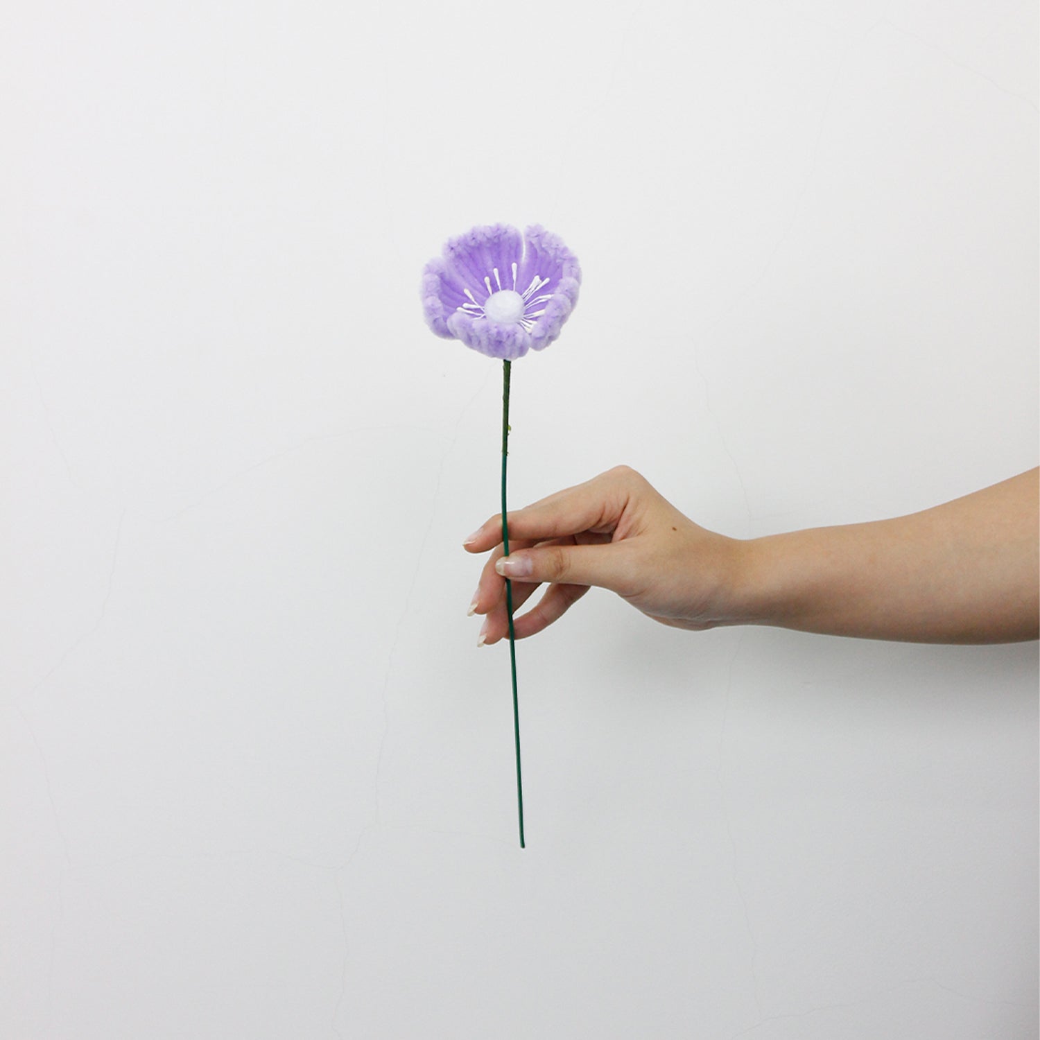 Poppy Tutorial