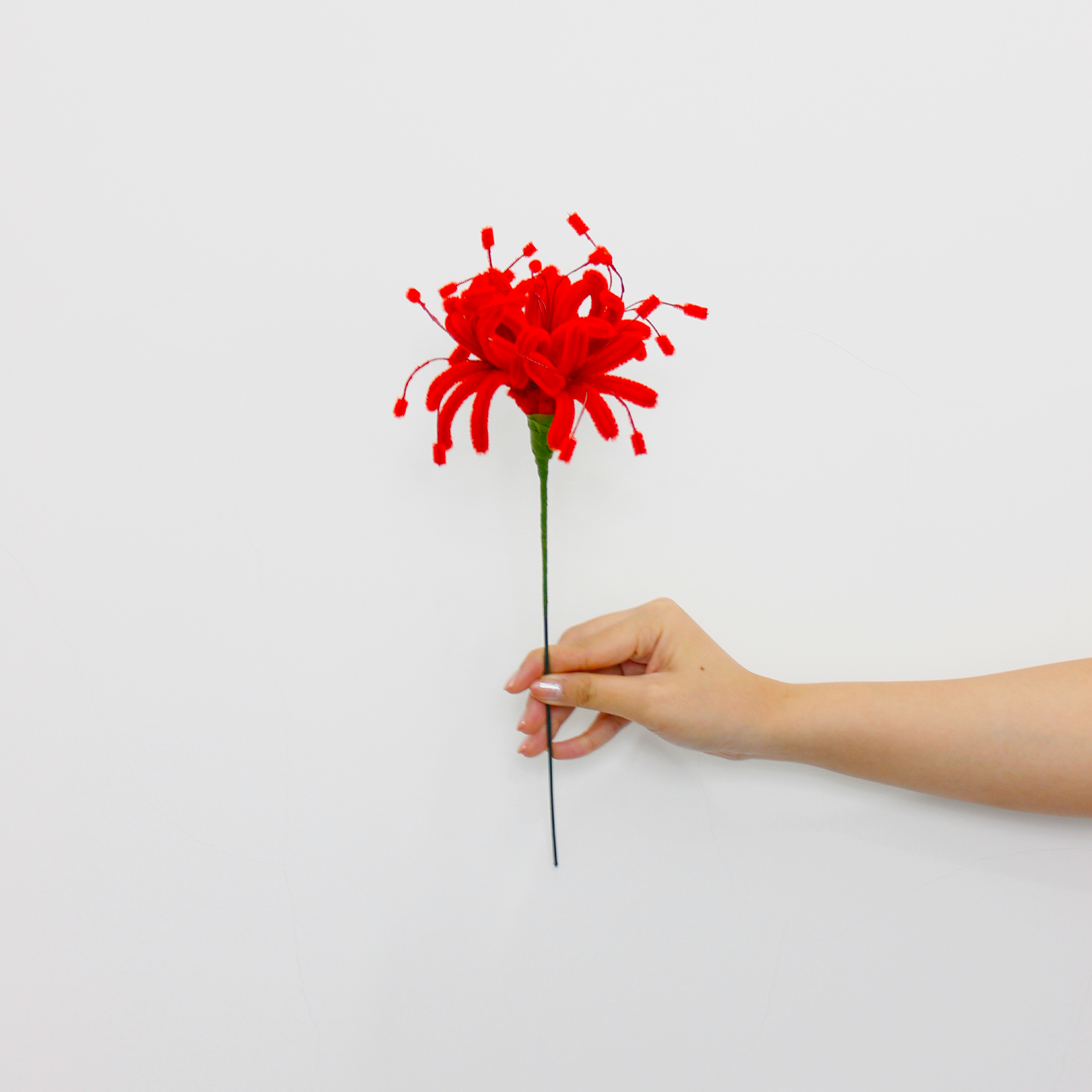 Spider Lily Tutorial