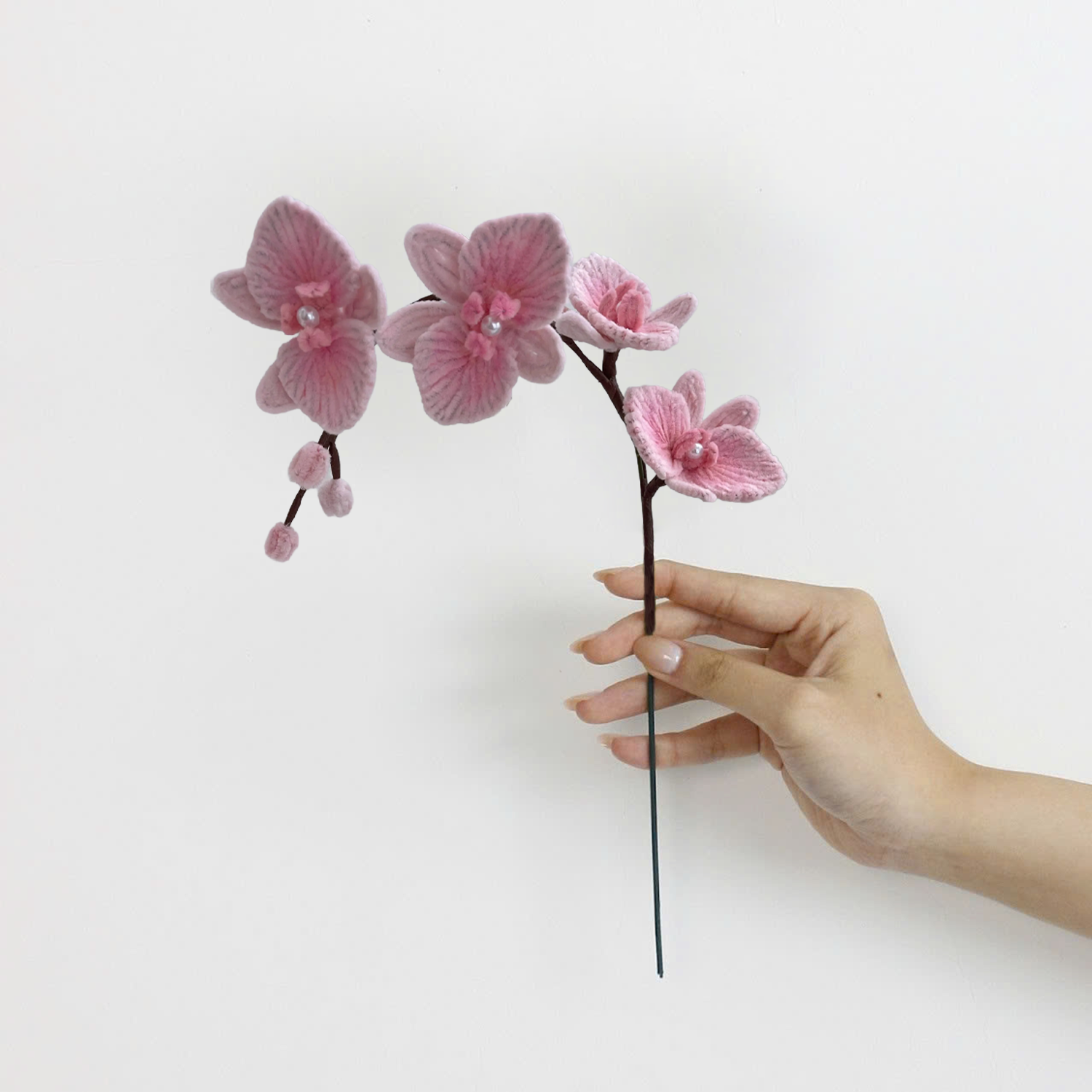 Orchid Tutorial