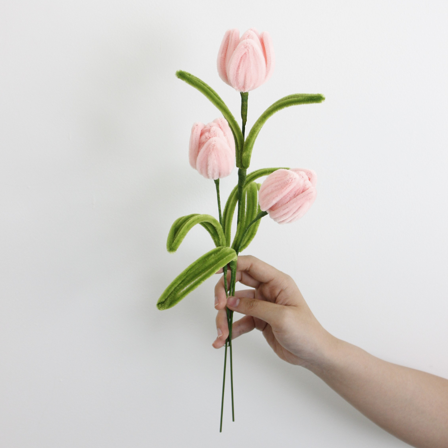 Tulip Tutorial