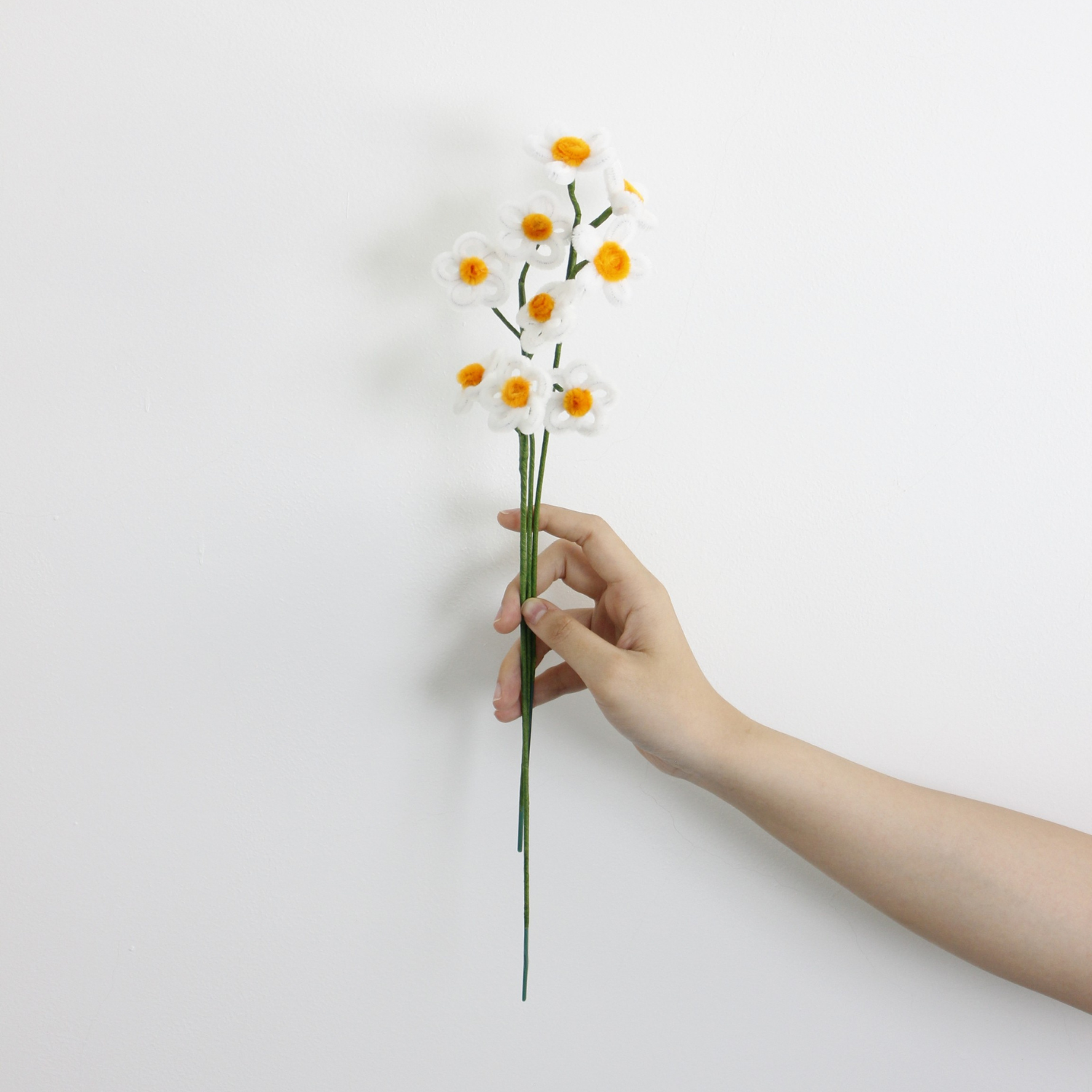 Daisy Tutorial