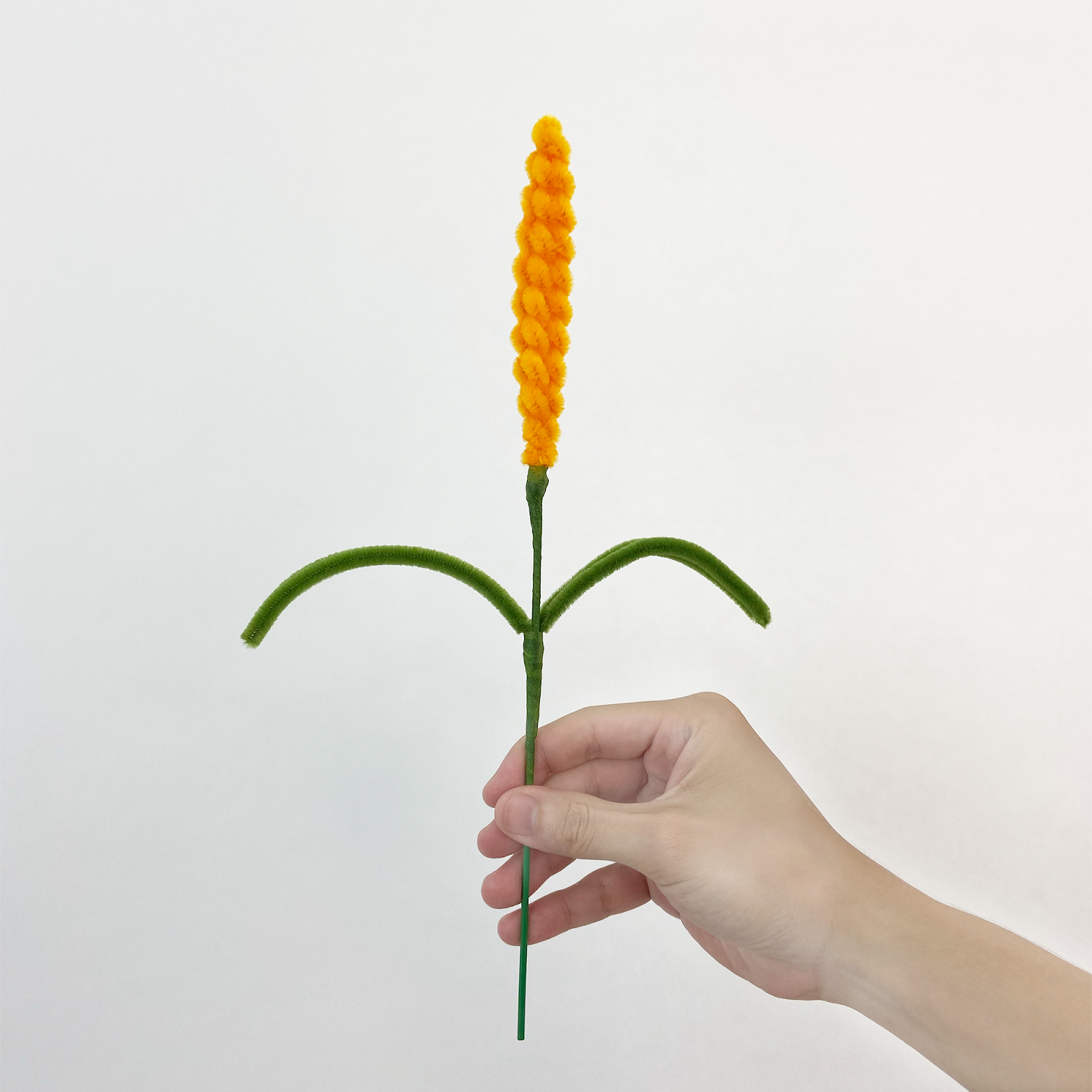 Wheat Tutorial